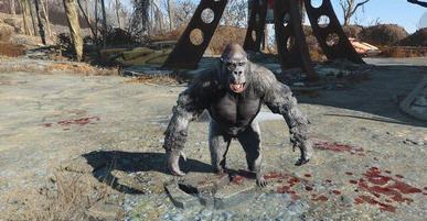 辐射4废土金刚MOD v2.6 辐射4废土金刚MOD v2.6