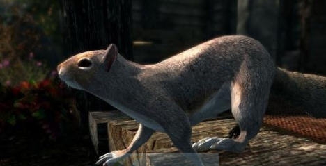 上古卷轴5天际重制版松鼠MOD v2.4