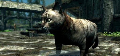 上古卷轴5天际重制版家猫MOD v2.4 上古卷轴5天际重制版家猫MOD v2.4