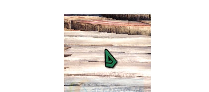 怪物猎人世界将Tex转换为dds格式MOD v2.6 怪物猎人世界将Tex转换为dds格式MOD v2.6