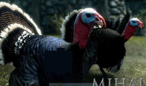 上古卷轴5天际添加了火鸡MOD v2.3 上古卷轴5天际添加了火鸡MOD v2.3