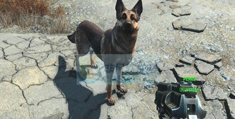 辐射4独立的迷你枪管MOD v2.5 辐射4独立的迷你枪管MOD v2.5