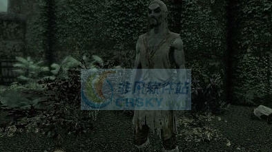 上古卷轴5天际流浪汉的长袍角色扮演MOD v2.4 上古卷轴5天际流浪汉的长袍角色扮演MOD v2.4