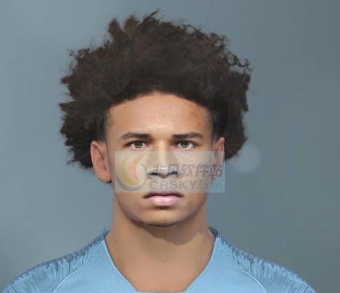 实况足球2019萨内面部补丁 v2.6 实况足球2019萨内面部补丁 v2.6