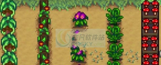 星露谷物语野生作物进农场MOD v2.4 星露谷物语野生作物进农场MOD v2.4