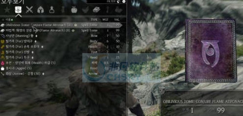 上古卷轴5天际删除无用咒语MOD v2.3 上古卷轴5天际删除无用咒语MOD v2.3