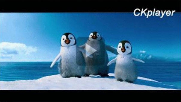 FLV ViewerF4V播放器 v2.6.3.5 FLV ViewerF4V播放器 v2.6.3.5