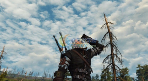 巫师3狂猎新的人物动作MOD v2.7 巫师3狂猎新的人物动作MOD v2.7