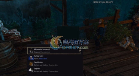 巫师3狂猎随意偷东西MOD v2.5 巫师3狂猎随意偷东西MOD v2.5
