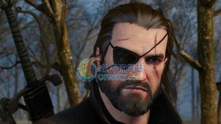 巫师3狂猎Snake的眼罩MOD v2.7 巫师3狂猎Snake的眼罩MOD v2.7