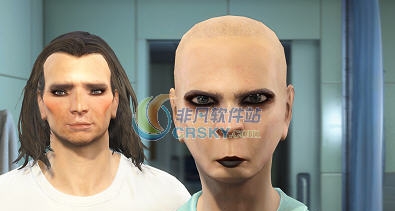 辐射4可爱的夫妻预设MOD v2.3 辐射4可爱的夫妻预设MOD v2.3