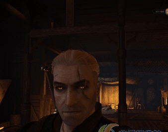 巫师3狂猎发光的眼睛MOD v2.4 巫师3狂猎发光的眼睛MOD v2.4