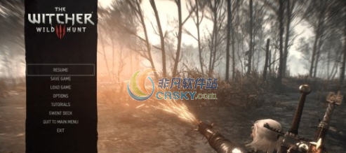 巫师3狂猎火印特效修改MOD v2.3 巫师3狂猎火印特效修改MOD v2.3