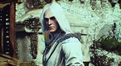 巫师3狂猎妖异长发杰洛特MOD v2.6 巫师3狂猎妖异长发杰洛特MOD v2.6