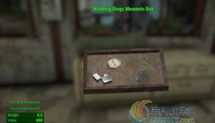 辐射4对戒MOD v2.5 辐射4对戒MOD v2.5
