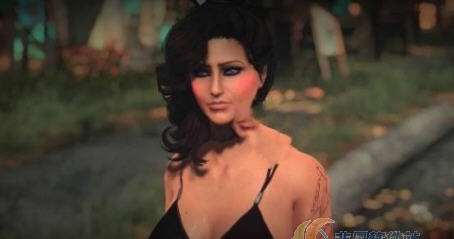 辐射4性感晚礼服MOD v2.6 辐射4性感晚礼服MOD v2.6