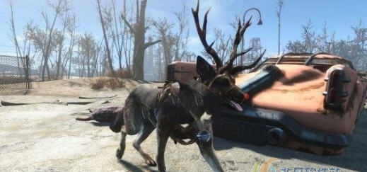 辐射4狗肉的驯鹿服装MOD v2.4 辐射4狗肉的驯鹿服装MOD v2.4