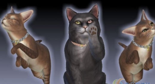模拟人生4闪闪发光的宠物猫项圈MOD v2.4 模拟人生4闪闪发光的宠物猫项圈MOD v2.4
