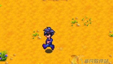 星露谷物语冲刺功能MOD v2.5 星露谷物语冲刺功能MOD v2.5