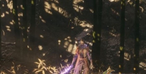 只狼影逝二度超长时间的神之飞雪MOD v2.7 只狼影逝二度超长时间的神之飞雪MOD v2.7