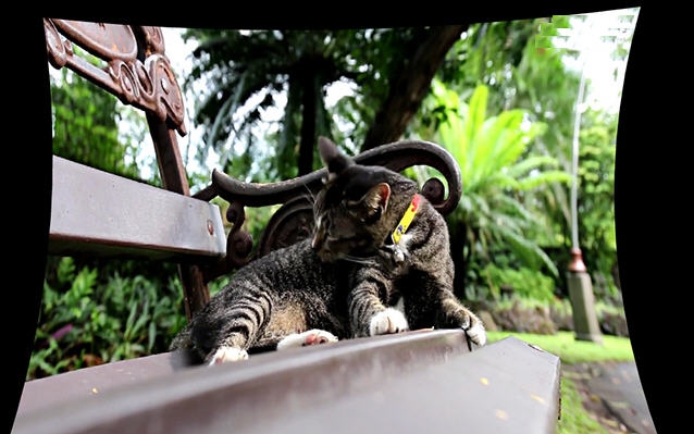 稀点投影校正 v1.9