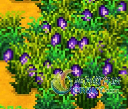 星露谷物语更美丽的草丛MOD v1.34 星露谷物语更美丽的草丛MOD v1.34