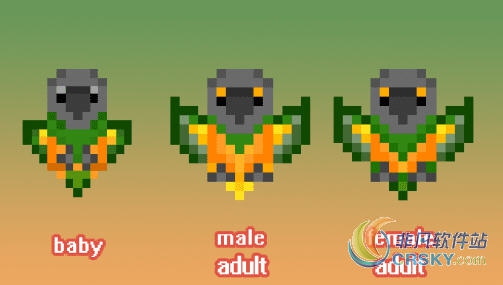 星露谷物语塞内加尔鹦鹉小孩MOD v2.46 星露谷物语塞内加尔鹦鹉小孩MOD v2.46