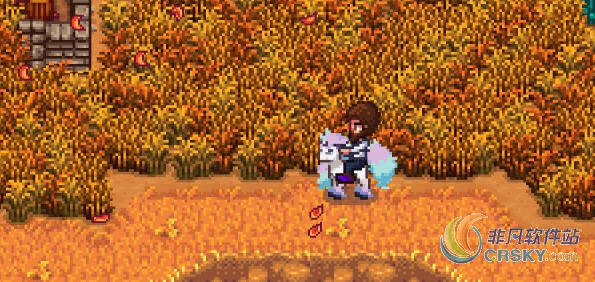 星露谷物语宝可梦剑盾伽勒尔小火马MOD v1.85 星露谷物语宝可梦剑盾伽勒尔小火马MOD v1.85