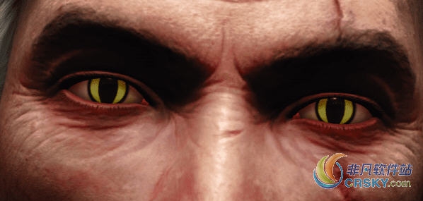 巫师3绿色猫眼杰拉特MOD v1.55 巫师3绿色猫眼杰拉特MOD v1.55