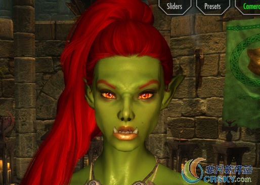 上古卷轴5女兽人预设MOD v2.51 上古卷轴5女兽人预设MOD v2.51