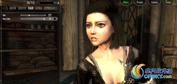 上古卷轴5阿丽塔预设MOD v2.05 上古卷轴5阿丽塔预设MOD v2.05