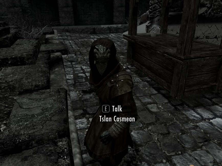 上古卷轴5神秘的风盔商人MOD v1.14 上古卷轴5神秘的风盔商人MOD v1.14