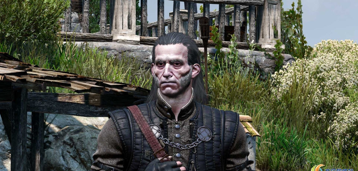 巫师3长发瑞吉斯MOD v2.58 巫师3长发瑞吉斯MOD v2.58