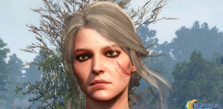 巫师3希里灰白头发MOD v1.93 巫师3希里灰白头发MOD v1.93