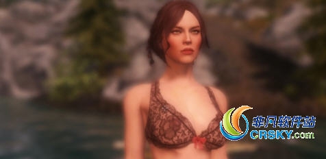 上古卷轴5帝国女士预设MOD v2.10 上古卷轴5帝国女士预设MOD v2.10