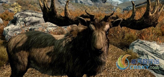 上古卷轴5野生动物价格MOD v1.104 上古卷轴5野生动物价格MOD v1.104