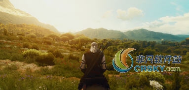 巫师3亮眼画质MOD v2.12 巫师3亮眼画质MOD v2.12