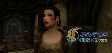 上古卷轴5自制餐错误修复MOD v2.49 上古卷轴5自制餐错误修复MOD v2.49