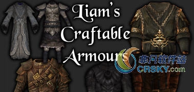 上古卷轴5利亚姆的精巧护甲MOD v2.54 上古卷轴5利亚姆的精巧护甲MOD v2.54