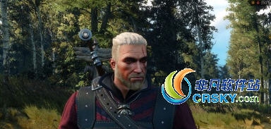 巫师3杰洛特维京人发型MOD v1.91 巫师3杰洛特维京人发型MOD v1.91