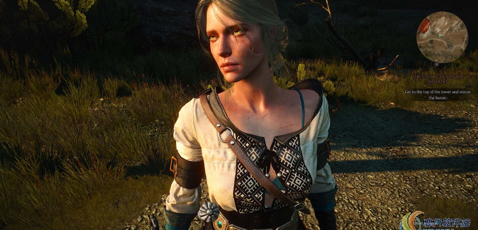 巫师3希里服装颜色改变MOD v2.49 巫师3希里服装颜色改变MOD v2.49