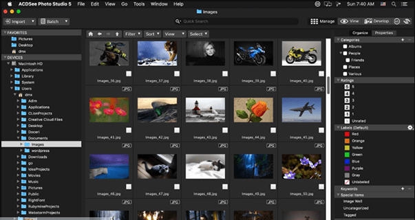 ACDSee Photo Studio for mac v6.2.1687 ACDSee Photo Studio for mac v6.2.1687