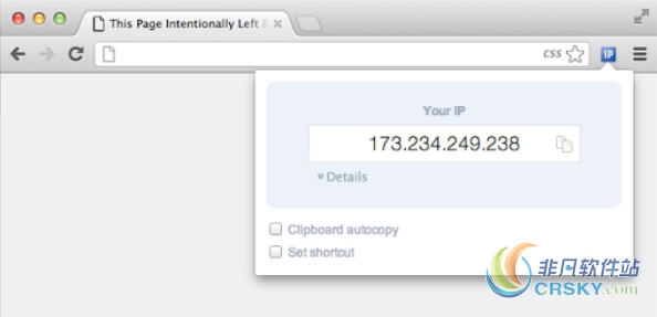 IP-Address for Chrome v2.10