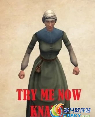 骑马与砍杀2更好的农民MOD v1.84