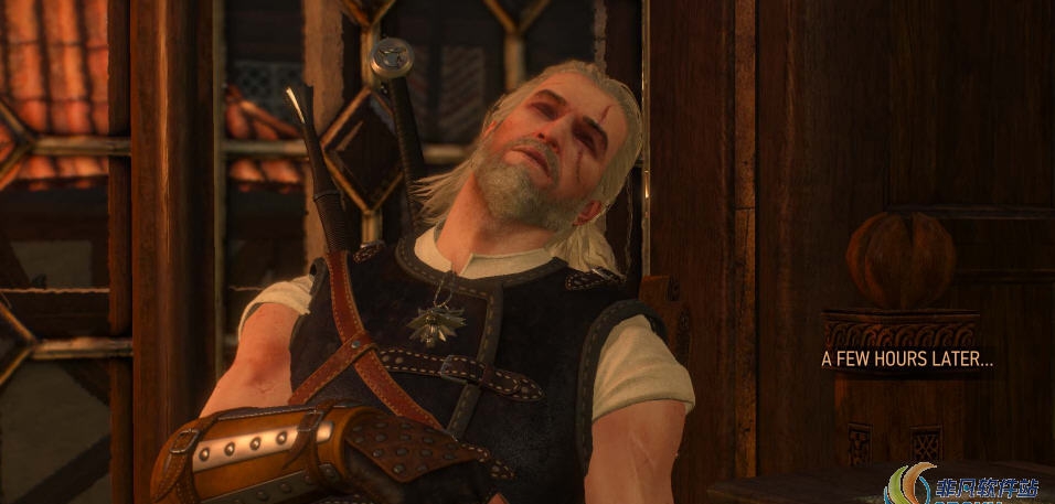 巫师3人物不会醉酒mod v1.56 巫师3人物不会醉酒mod v1.56