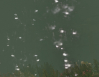 七日杀更多水中动态效果MOD v1.67 七日杀更多水中动态效果MOD v1.67