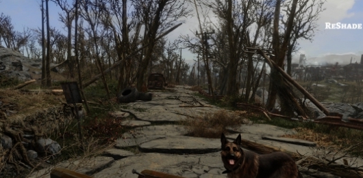 辐射4图像模糊修复MOD v3.22 辐射4图像模糊修复MOD v3.22
