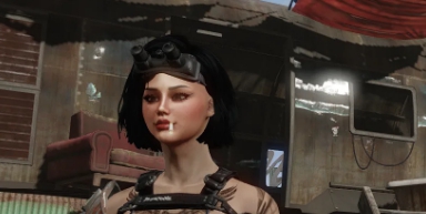 辐射4美丽的AikoMOD v2.16 辐射4美丽的AikoMOD v2.16