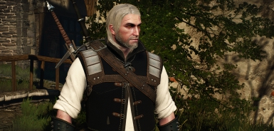 巫师3狂猎重塑狼盔甲MOD v3.20 巫师3狂猎重塑狼盔甲MOD v3.20