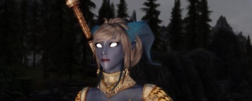 上古卷轴5重制版清凉德莱尼随从MOD v1.20 上古卷轴5重制版清凉德莱尼随从MOD v1.20